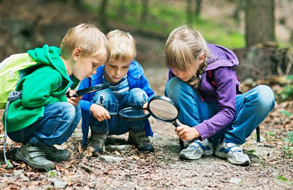 Three children crouching on a woodland path, examining the ground through magnifying glasses